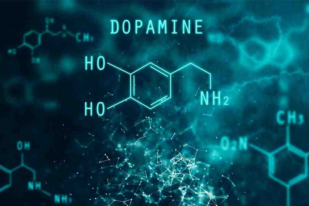 Can’t get off reels? Learn how dopamine surge is killing your attention span